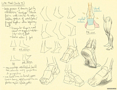 Ni懂否采集到 百家人体结构画法 之 脚部-足部动作