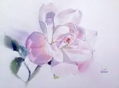 泰国著名大师笔下的水彩玫瑰