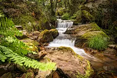 葡萄牙格勒索河美丽的溪水。长曝光效果平滑。风景优美的山溪，绿水在茂密的森林中。