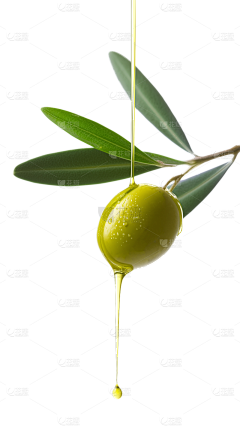 花瓣素材采集到植物元素