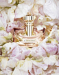 Bvlgari - Rose Essentiel