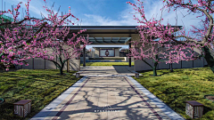 ZEN-STUDIO采集到Design