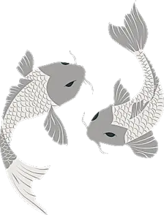 中国风手绘锦鲤鱼插画免抠PNG装饰设计