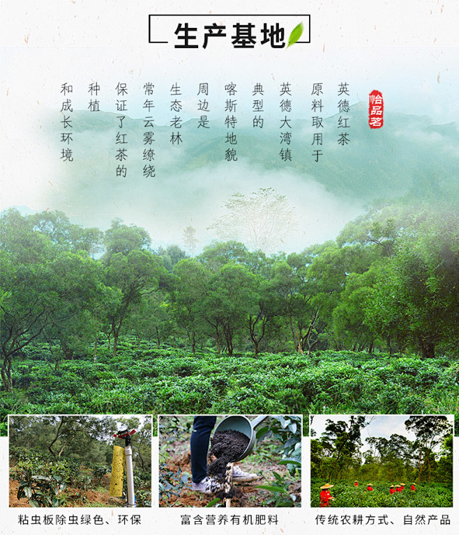 怡品茗英德红茶一级红茶茗茶英红九号银毫100g罐装礼盒送礼tmallcom