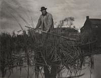 龙二采集到P.H.埃默生 Peter Henry Emerson