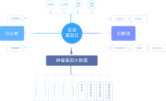 小希要学习采集到UI | 设计组件