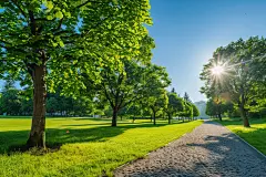 文化公园休闲绿道高清摄影图