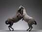 HORSE.PLAY No.3&4 | 马·戏 三/四 : Horse.Play is a series started from 2011 after graduation.