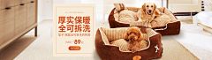 哎徐采集到海报