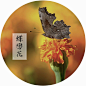 【花间词】蝶恋花