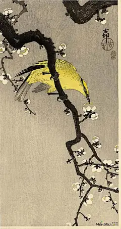 小原古邨(Ohara Koson)高清作品《黄鹂》