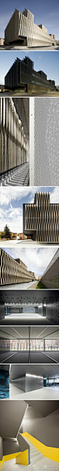 纳瓦拉生物医学研究中心由Vaíllo & Irigaray 建筑工作室设计。 建筑表皮是由铝合金材料锯齿外壳包围，视觉上令人难忘。