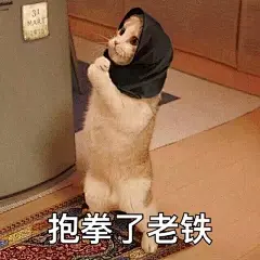 “谢老铁救命之恩..”    #表情包#