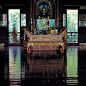 《佛的足迹》是摄影师“张望”历时九年完成的作品，这是一组表现中国佛教文化的影像艺术作品。有些人看到他的摄影作品，觉得特别美，都想出家了。作者张望历时九年深入佛门，与僧侣同吃住，与法师共悟禅，将深奥的佛境教义通过影像艺术的形式得以传达，以期带给观众一种空灵恬静之禅美享受。