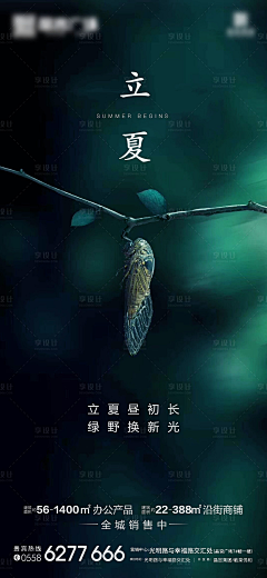 秋风抚落叶采集到立夏（下载源文件请至图片来源处）