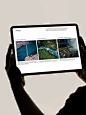 Behance 上的 Field