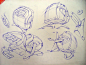 DSC01247.JPG