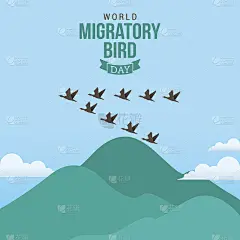 国际候鸟日