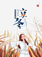 立冬节气芦苇背景元素图