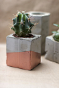 diy concrete and copper plant pots: 