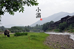 水心眉采集到传统文化