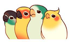 岩浆葱花鱼采集到B_Birds