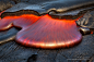 Photograph The Tongue by Bruce Omori on 500px