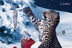 森林中的寻宝之旅！卡地亚 (Cartier) 2012年冬季微电影，与小猎豹一起畅游冰雪世界吧！_卡地亚_卡地亚_海报时尚网
