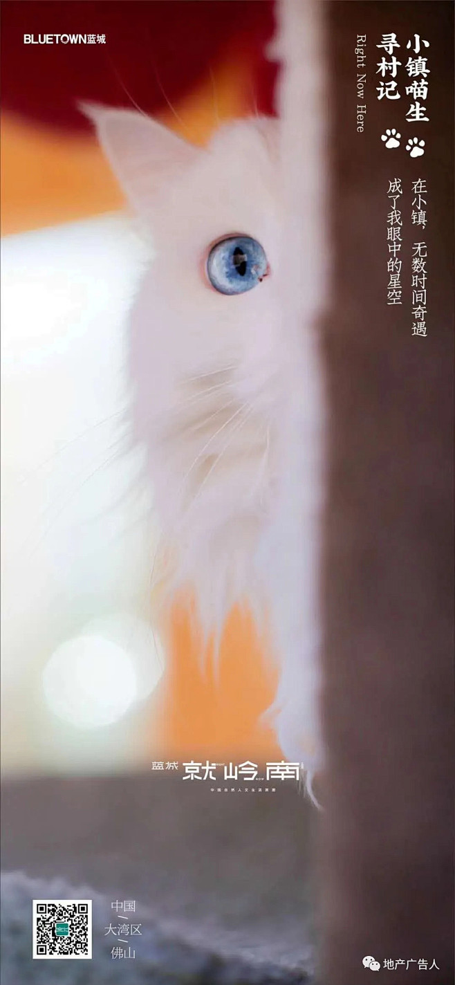 这只猫主子撩倒整个地产界 : 2020蓝...
