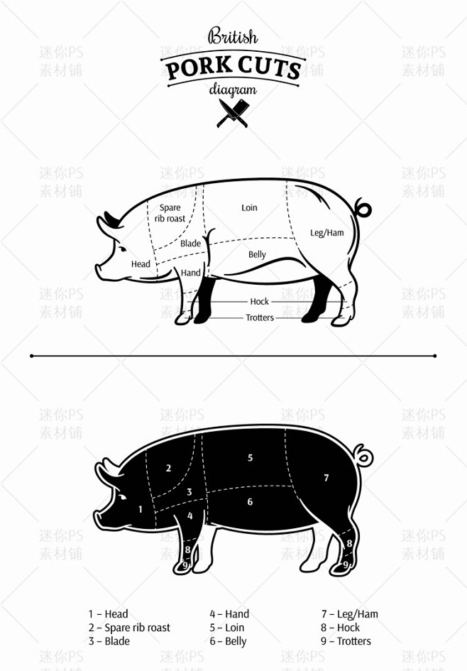 [编号273]家禽猪牛羊鸡鹅各部位肉名称...