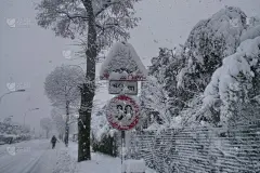 意大利伦巴第的大雪
