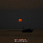 背景图 | 這世界以痛吻你 你不要報之以歌