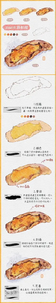 ipad水彩74✔烤红薯插画教程_1_蕾蕾的画室_来自小红书网页版