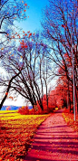 Autumn in Japan