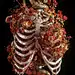 Entropicdeath的照片 - 微相册