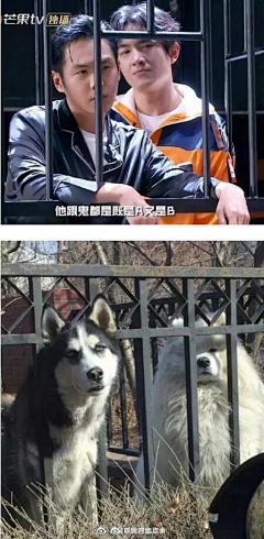 猫123584采集到欣赏--世界很有趣无趣的是你