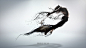 HUAWEI P8 Design Story : HUAWEI P8 Design Story Choreography is the art of desig …