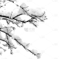 风光通用积雪树枝元素素材
