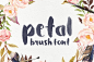 日本画笔手写英文字体 Petal – Brush Font - 设汇