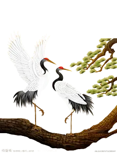 古风仙鹤 (68)