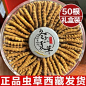 冬虫夏草官方旗舰店虫草50克正品干货冬虫草送礼佳品10克礼盒装