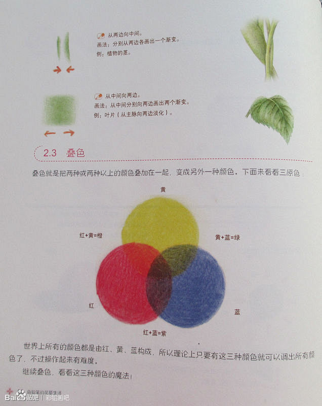 【教程】色铅笔的花草生活（转）_看图_彩...