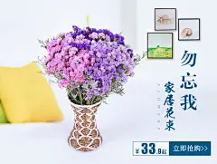 干花花束海报详情页勿忘我满天星素材