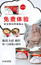 【源文件下载】 海报 电商 宠物 猫粮 免费领取 促销 