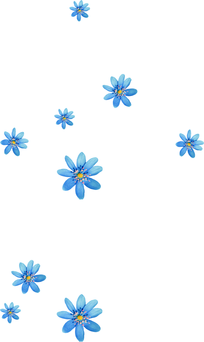 蓝色花花装饰元素