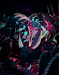 Behance :: Behance 作品精选