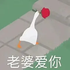 大鹅表情包合集 ​​​​