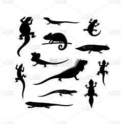 仙人1007采集到生物