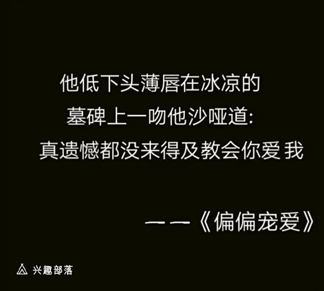 小说中卑微到极致的男主-兴趣部落