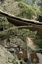 Clear Water Tea House / Behet Bondzio Lin Architekten - Exterior Photography, Stairs, Forest